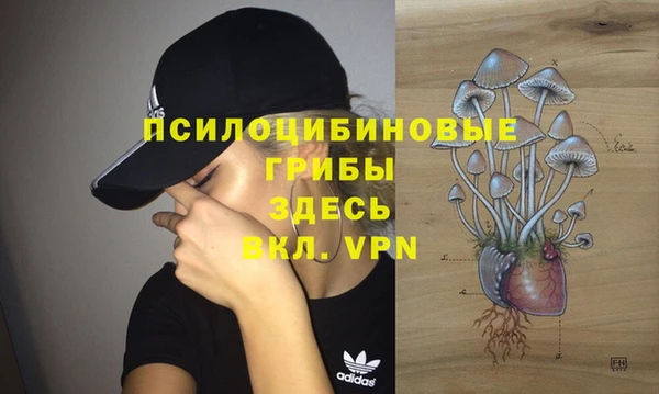 ECSTASY Киреевск