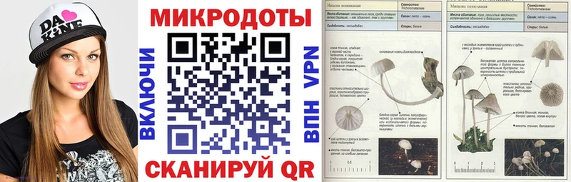 Купить закладки  Лесозаводск  Галлюциногенные грибы прущие грибы 